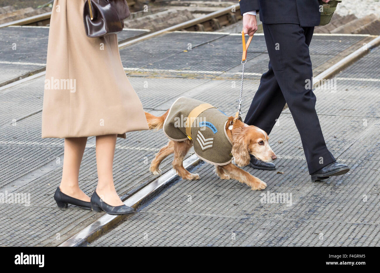 Pickering, North Yorkshire, UK. 17th October, 2015. Pickering`s annual Wartime and 40`s Weekend attracts thousands, with World War 2 living history camps and battle re-enactments amomg the attractions. PICTURED: Dog dressed appropriately for  Military street parade Stock Photo